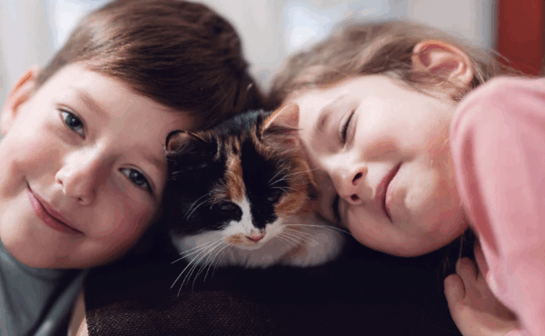 Impacto de las mascotas en la salud mental