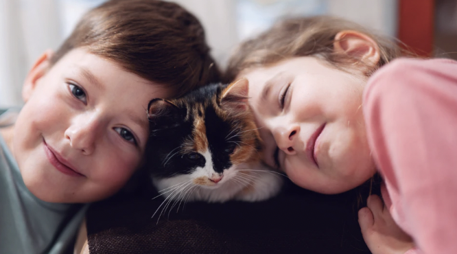 Impacto de las mascotas en la salud mental